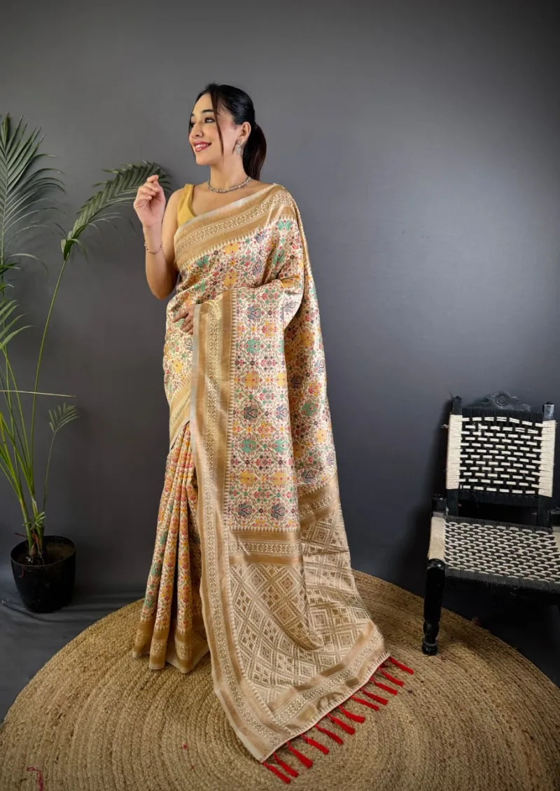 Heavy Banarasi Patola Silk Saree with All Over Fancy Meena and Zari Weaving