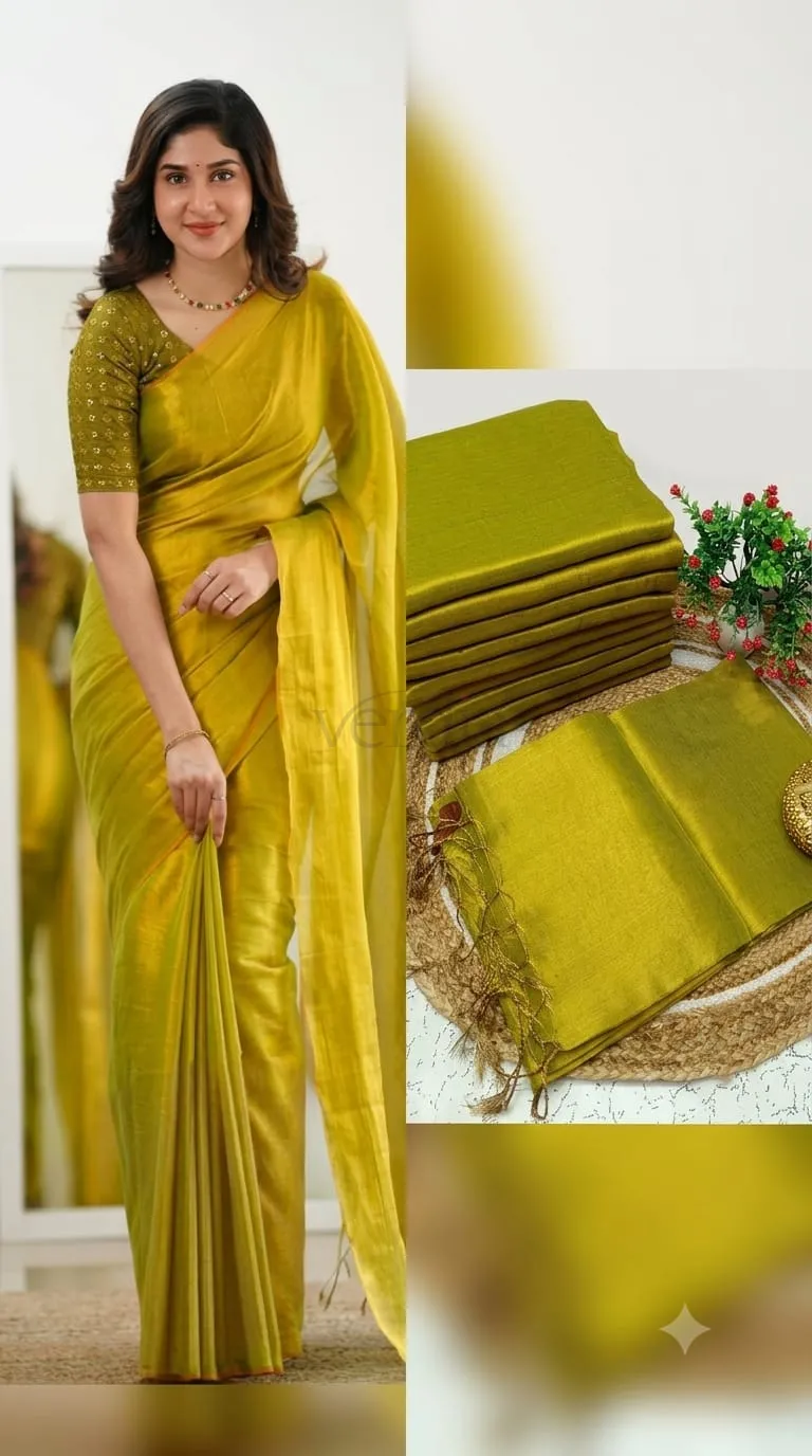 Premium Quality Raga Soft Tissue Silk Saree view 8