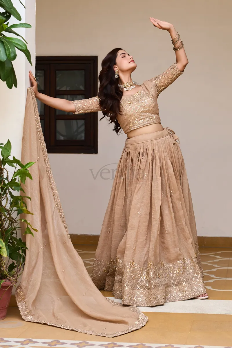 Beautiful Lehenga with embroidery sequence work