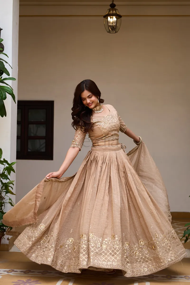 Beautiful Lehenga with embroidery sequence work view 4