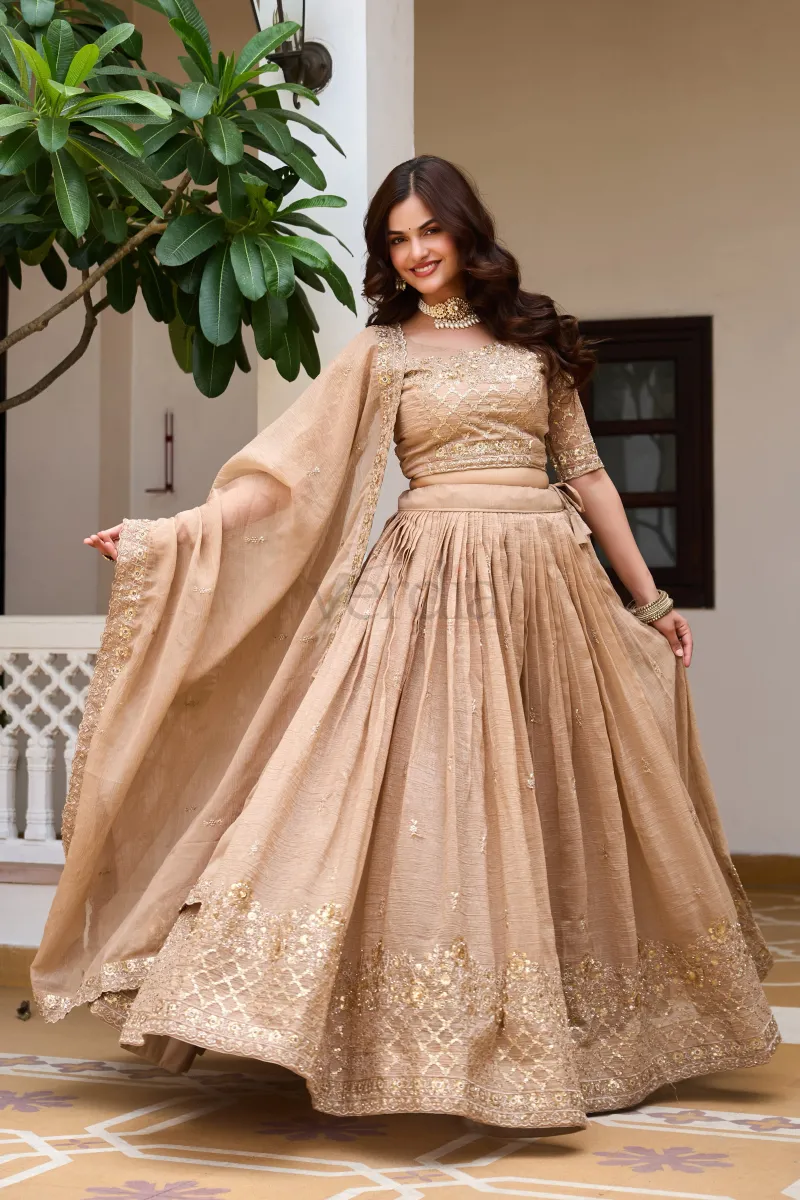 Beautiful Lehenga with embroidery sequence work