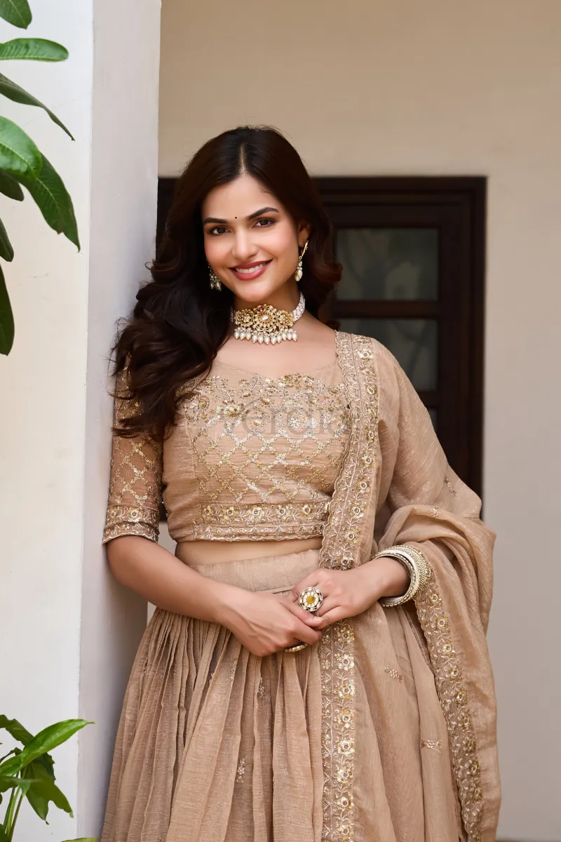 Beautiful Lehenga with embroidery sequence work view 6