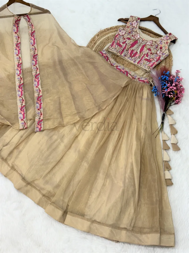 Beautiful Lehenga with embroidery sequence work view 2