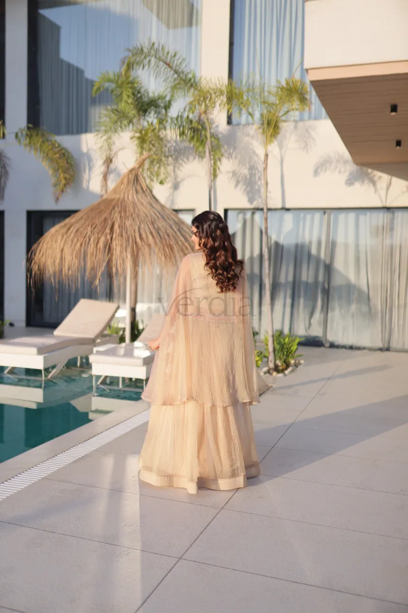 Beautiful Lehenga with embroidery sequence work