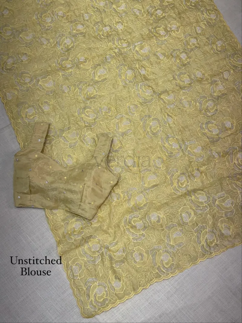 Chanda silk saree with Turkish organza style and sequins embroidery work. view 2